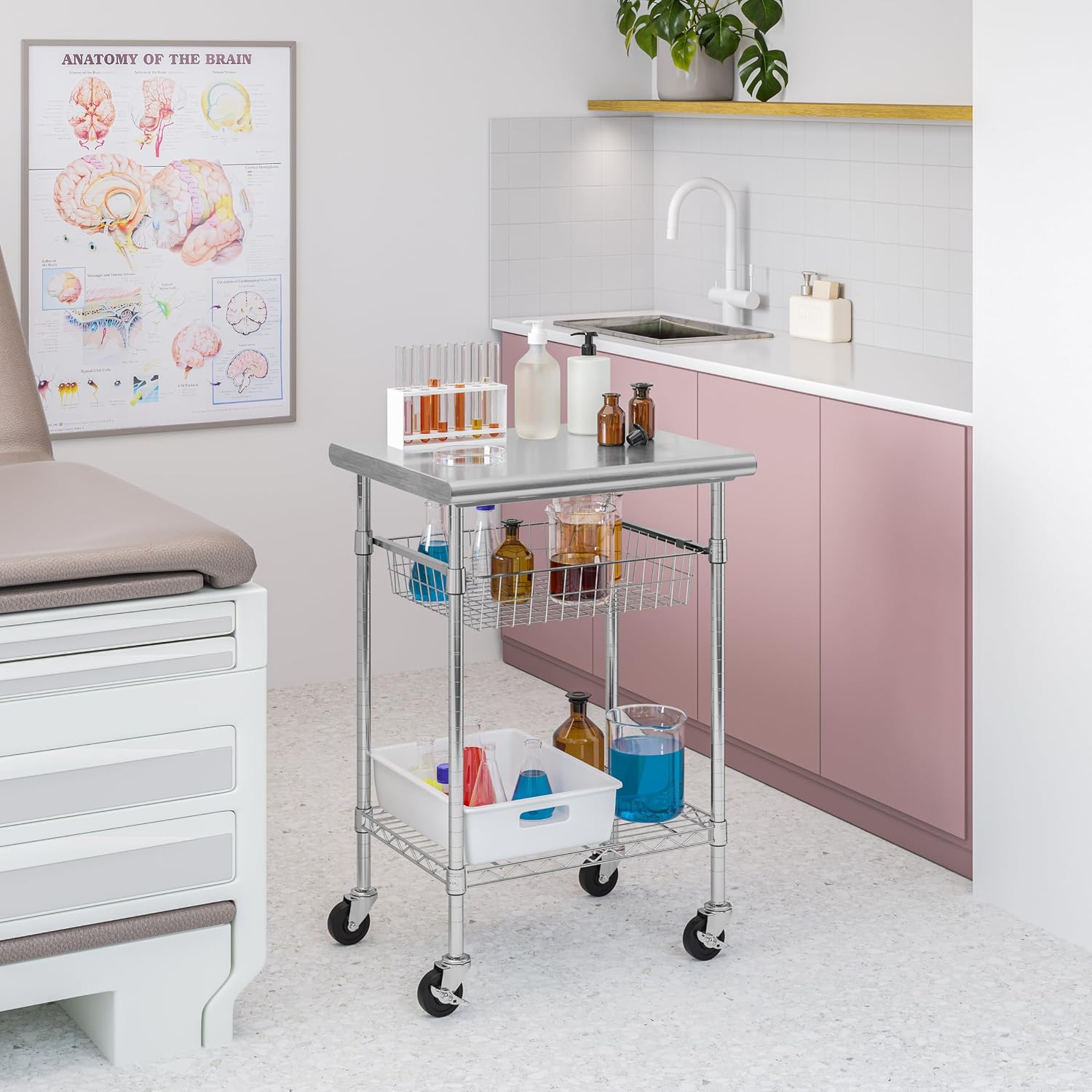 Edelstahl-Arbeitstischwagen fü – Food Storage On Wheels Bewertung und Preis