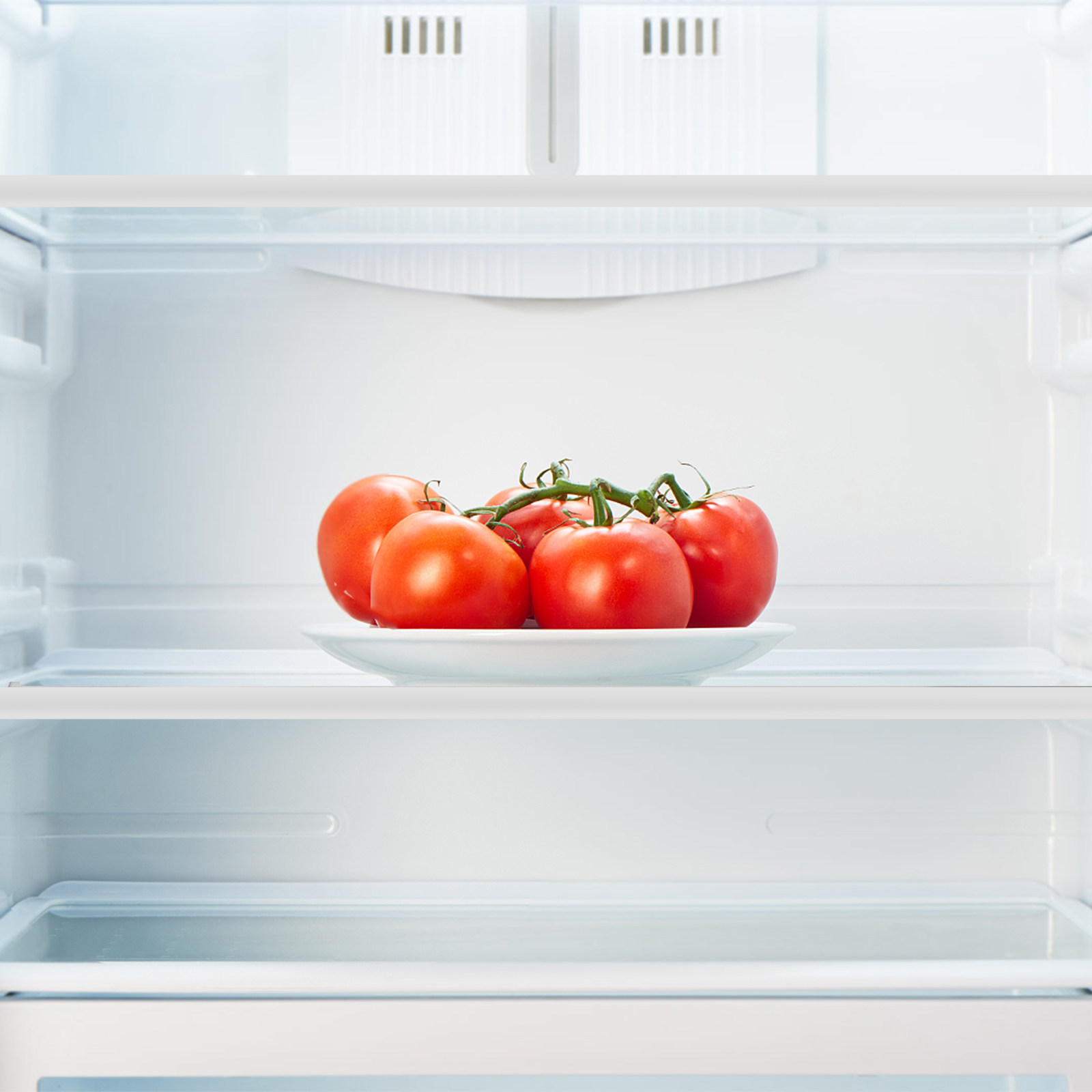 Kühlschrank-Glasregal-Trennwan – Food Storage Dividers Bewertung und Preis